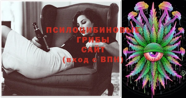 а пвп мука Коряжма