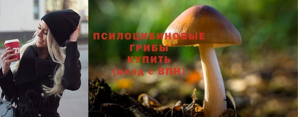 амф Костерёво