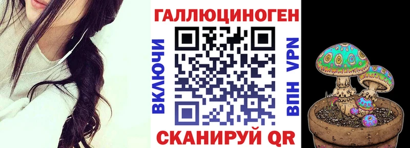 Купить закладки  Черняховск  Галлюциногенные грибы Cubensis 